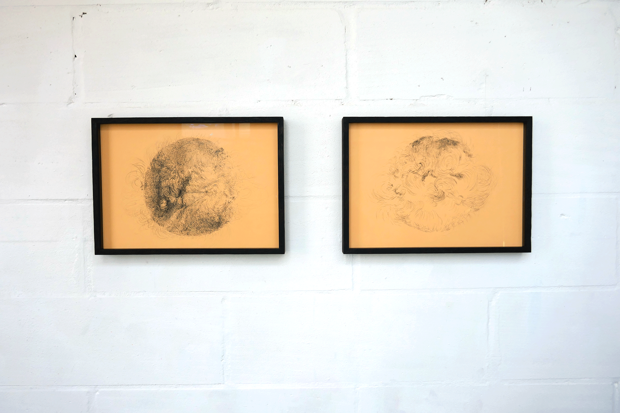 Sunscape 2.0 installation view